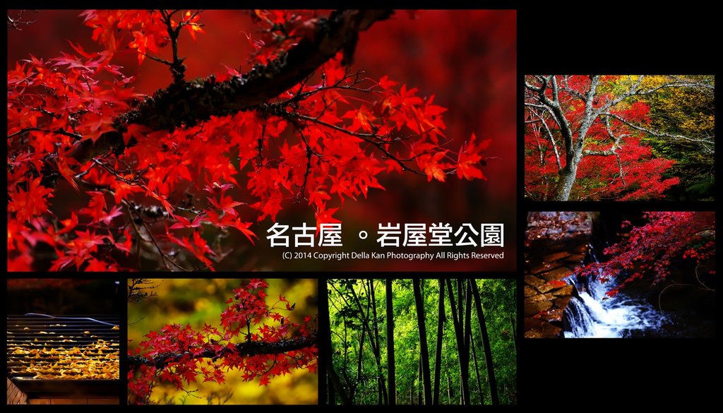 日本中部名古屋紅葉攝影之旅2014