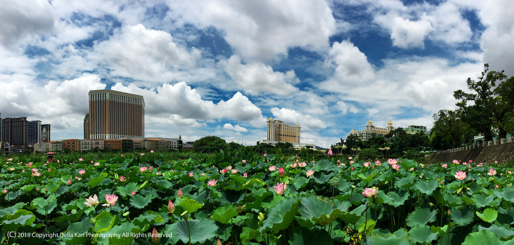 Macau Lotus 2018