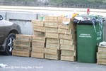 有人在南生圍把大批雀鳥「放生」？
NamSangWai21Nov04_0081s