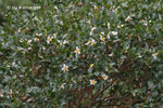 01Oct08_0033