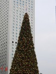 CIMG0126