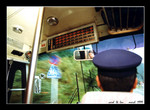 on the way from nichinan kaigan coast 日南海岸 to 青島神社