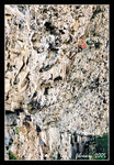 0205 climbing013c