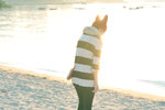 HIN_6977
