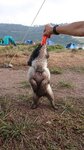 妹釘污漕到殺死人
IMG-20200430-WA0011