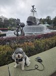 廸士尼樂園入口前噴泉
20260301_100547~11
