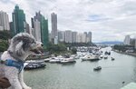 鴨脷洲大橋上望香港仔灣, 右香港仔, 左鴨脷洲20260803_142022
