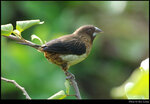bird_20210411_09s