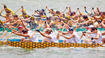 賽龍 Dragon Boat Festival