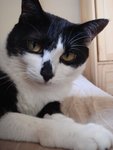 DSC00978