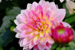DSCF0019
