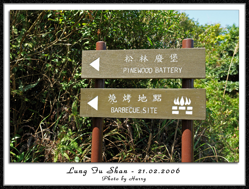 檢視主題 - 登 上 龍 虎 山 ﹝ 港 島 西 ﹞