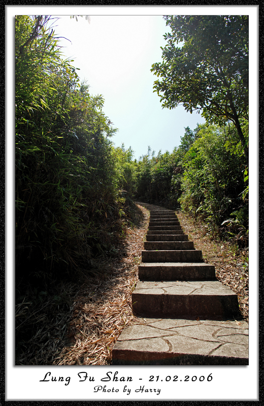 檢視主題 - 登 上 龍 虎 山 ﹝ 港 島 西 ﹞