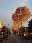 意大利早晨街景
Morning, Italy