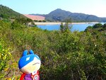DSC08132a