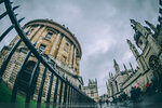 5-0117-IMG_7231