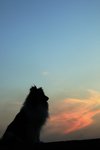 20090606_185