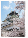 DSCF0846