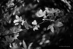 IMG_3162