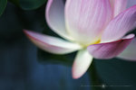 _MG_0037-37