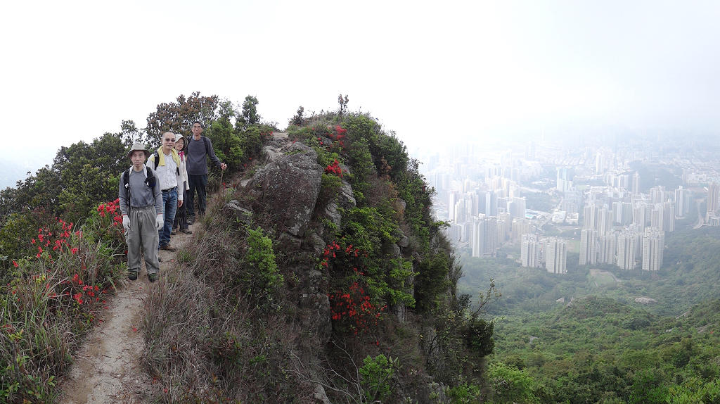 https://images4.fotop.net/albums6/fong3288/08042012/DSC02351_001.jpg