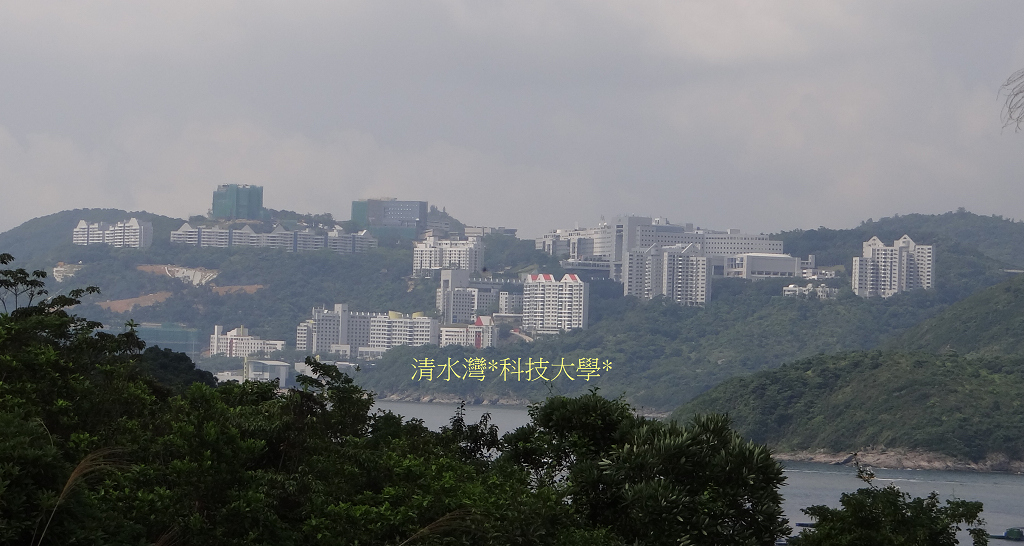 https://images4.fotop.net/albums6/fong3288/20052012/DSC04093.jpg
