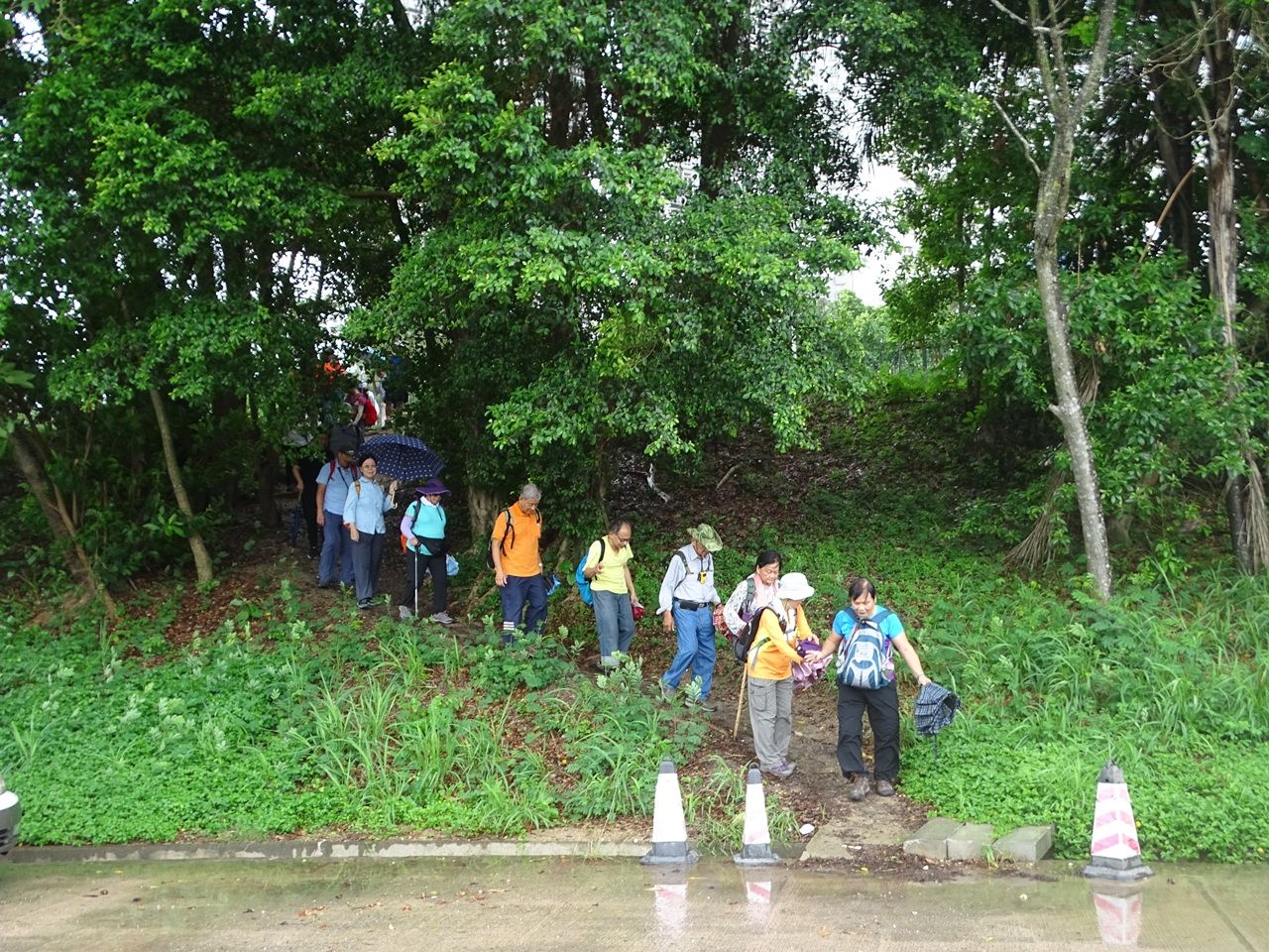 https://images4.fotop.net/albums6/fong3288/2018/DSC08612.jpg