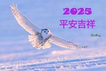 2312260276LRCNM2