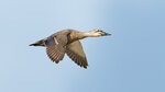 _DSC5473-Enhanced-dng_DxO_DeepPRIME