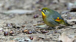 _DSC3970-Enhanced-dng_DxO_DeepPRIME
