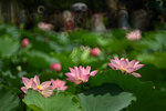 DSC_1213.jpg a